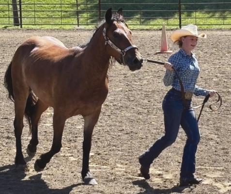 KRISTA PETTY and Rio put on a first-place performance in showmanship. JOSHUA BRUNGARDT | Staff