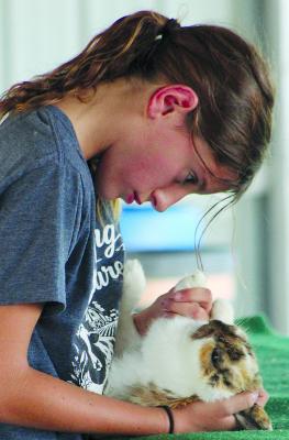 SHARON DONAT | Staff EMEREE BARHAM prepares her rabbit for judging.