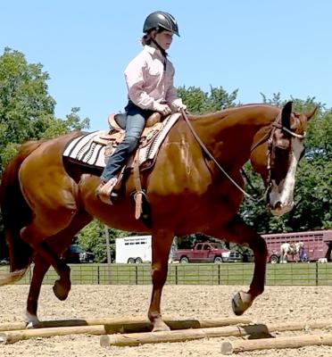 EMMA CRAWFORD guides A Fancy Impression over wooden poles. JOSHUA BRUNGARDT | Staff