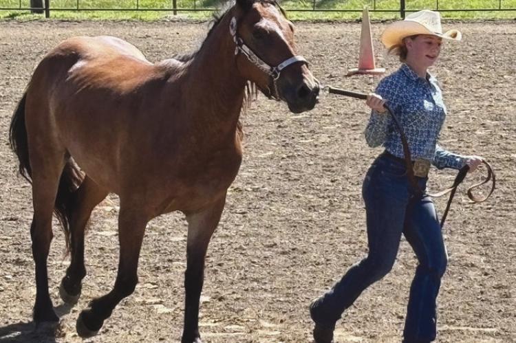 KRISTA PETTY and Rio put on a first-place performance in showmanship. JOSHUA BRUNGARDT | Staff