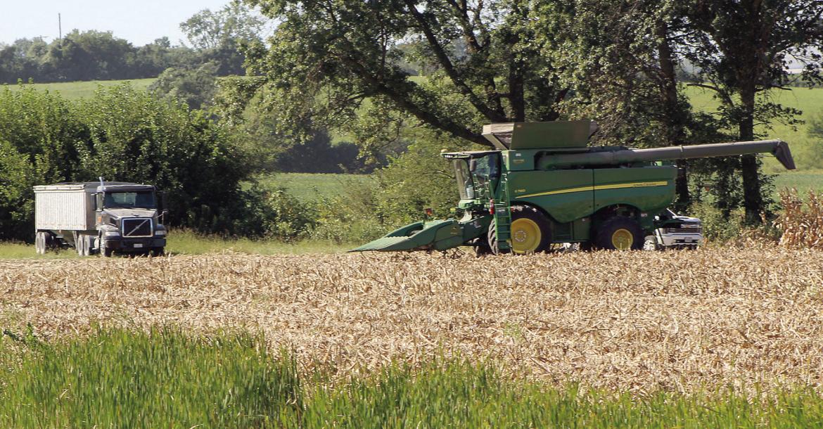 Time to Reap