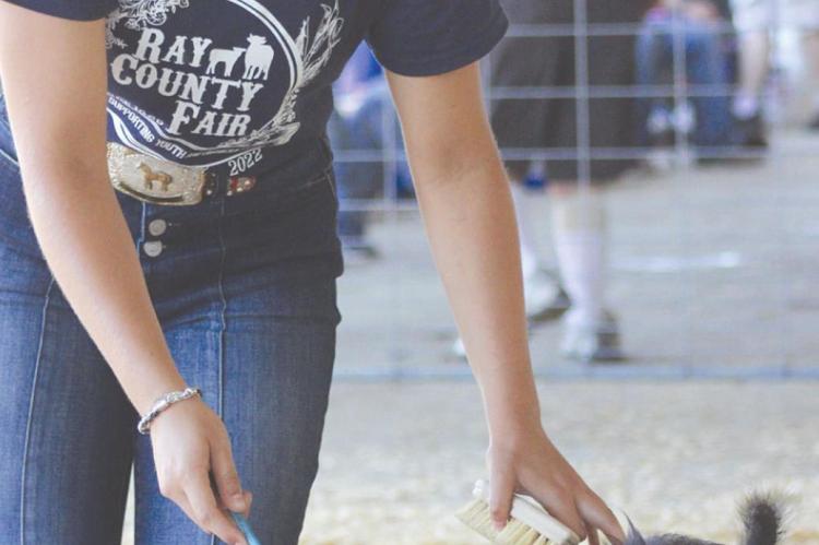 CHARLEE MANSELL guides her swine during the Ray County Fair’s Swine Show on Tuesday. Sophia Bales | Staff