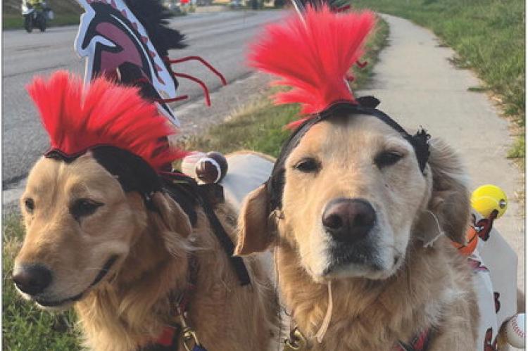 FLUFFY RICHMOND residents Penny and Piper show their Spartan pride on Hwy 13. Dog owner Reggie Wheeler stated his goal in life is to make others happy and dressing up his pups, puts a smile on people’s faces. SOPHIA BALES | Staff