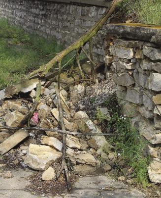 Cemetery neglect stirs frustration, prompts county review