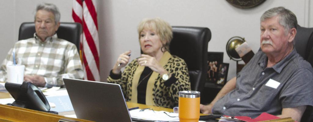 COMMISSIONER MAX HOCKEMEIER (from left), Presiding Commissioner Shelia Tracy and Commissioner Bobby Don Davis respond to public questions about venue enforcement, courthouse repairs and county authority. MIRANDA JAMISON | Staff