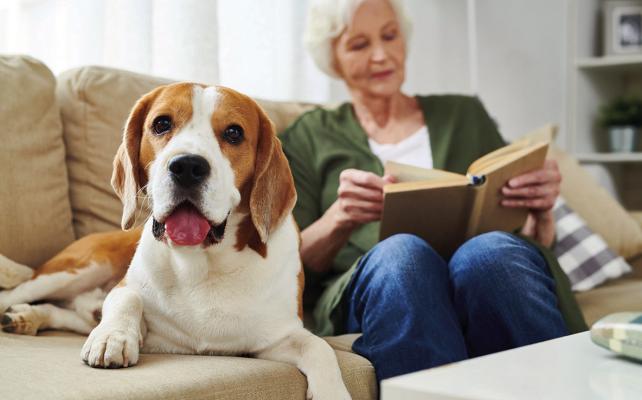 Stay mentally sharp after retirement