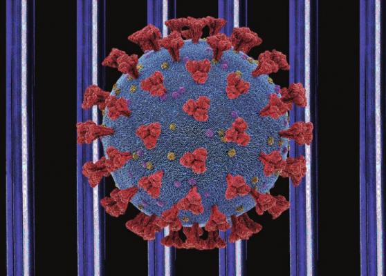 CORONAVIRUS breaks into the Ray County Jail. J.C. VENTMIGLIA | Staff
