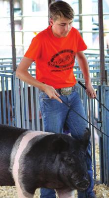 CASH HONEYCUTT, Richmond Showman 4-H, shows a hog the way into the Ray County Fair arena. J.C. VENTIMIGLIA | Staff