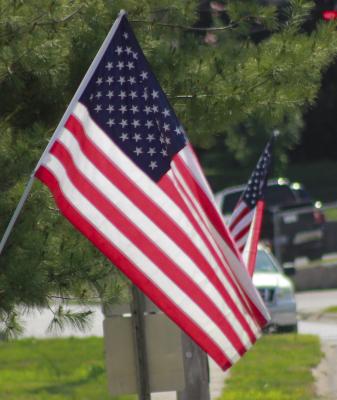FLAGS LINE MAIN STREET, honoring fallen soldiers on Memorial Day. SOPHIA BALES | Staff