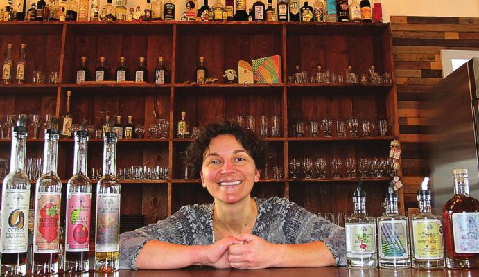 AT THE TASTING BAR, Sarah Burnett-Pierce stands ready with samples and bottled spirits for sale at Of the Earth Farm and Distillery. J.C. VENTIMIGLIA | Staff
