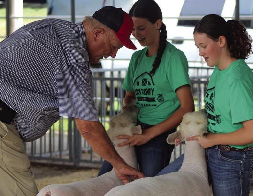 JACEY (RIGHT) AND KINSEY HIESEY prepare their animals for the judge’s inspection.