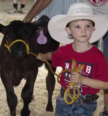 RYDER CAMPBELL leads his calf through the show ring. SHARON DONAT | Staff