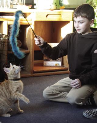 TOM WISSMUELLER meets an adoptable cat during a community adoption event designed to connect residents with rescue animals and provide information about the adoption process. MIRANDA JAMISON | Staff