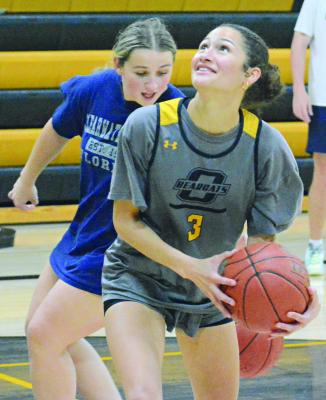 ORRICK SENIORS Izzy Wheeler (left) and Anela Fletcher practice dribbling and shooting. SHAWN RONEY | Staff