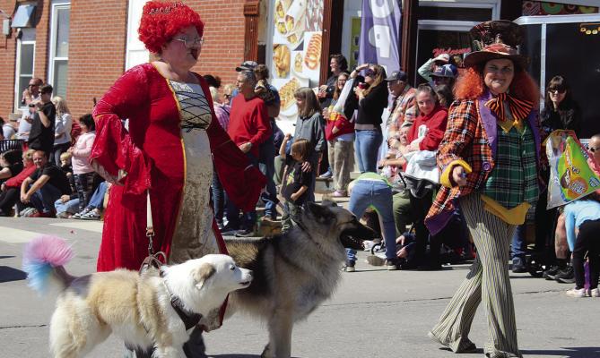 MCKAYLA MABERY (right) walks alongside a Queen of Hearts character while representing VIP Pet Care. SHARON DONAT | Staff