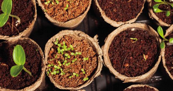 Learn to Grow Your Food event series begins
