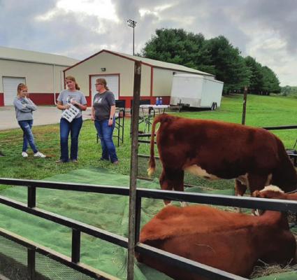 ABOUT CATTLE… Taylor and Tatum McGlothlin teach a group of Agriculture Science II students about Hereford cattle.