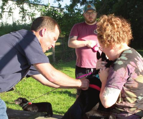 DR. JONATHAN RENFRO vaccinates Alyssa and Kris Allnutt’s dog, Finn, during the first day of the Annual Pet Clinic at Wiggly Field Dog Park. SOPHIA BALES | Staff