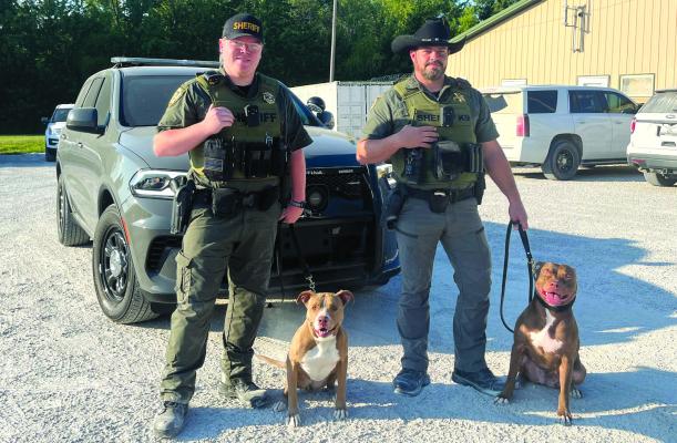 DEPUTY AUSTIN CROSSLAND with Jinx, 6; and Cpl. Matthew Cowan with Karma, 3. SOPHIA BALES | Staff