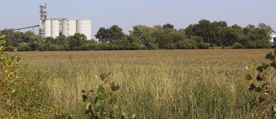 Missouri 2025 Ag Outlook