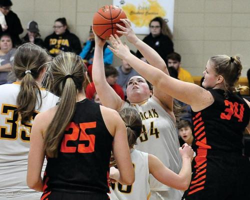 MARA INKS, No. 34, grabs a rebound during Orrick's non-conference meeting Friday night with visiting Hardin-Central. Inks and her fellow Bearcats, who lead 16-13 at halftime, fall 36-32; however, Inks wins the title of courtwarming queen. She is crowned during a ceremony between the girls and boys varsity games.