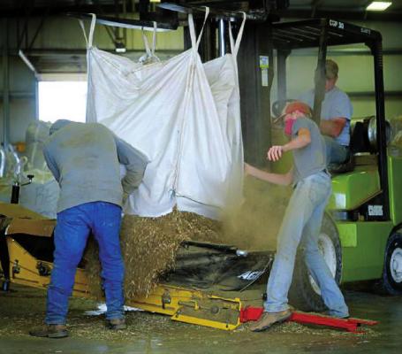 BRIAN GRIMMETT | Harvest Public Media Workers at Shining Star Hemp Co. load a bag of hemp biomass into the processor.