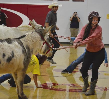 SELENE TOMPKINS tugs on the reins, hoping to grab a loose ball, during the 2022 donkey basketball game. SHAWN RONEY | Staff