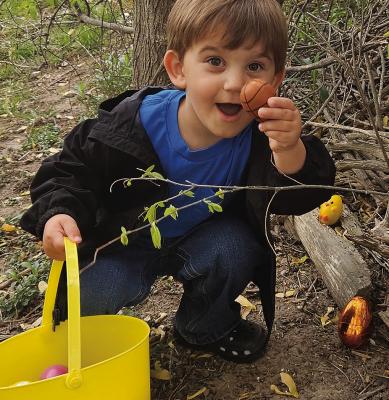 WITH THE HELP of his family, Mavryk Teegarden finds a special egg at Bumble Bee Daycare. MIRANDA JAMISON | Staff