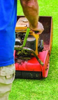 Lawn scarifying explained