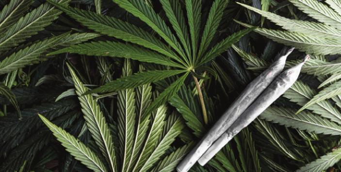 DEMAND strong for medical marijuana.