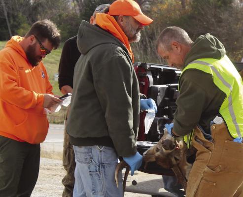 JOHN BRYANT (center) holds his buck in position for the Missouri Department of Conservation volunteers to complete CWD testing. SHARON DONAT | Staff