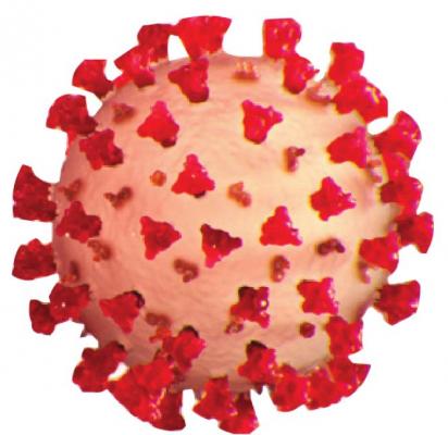 Alt Text for Image