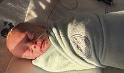 ADLEIGH ROSE HAMBRICK