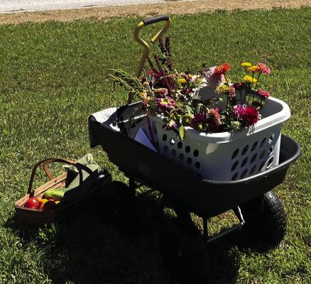 LITTLE GREEN GARDEN’S flowers are grown for one reason: to elicit a response from a customer.