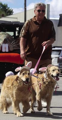GOLDEN RETRIEVERS provide smiles for parade attendees. MIRANDA JAMISON | Staff