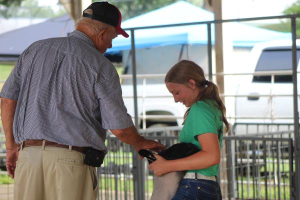 Extra Exposure: Sheep and Goats Fair 2025