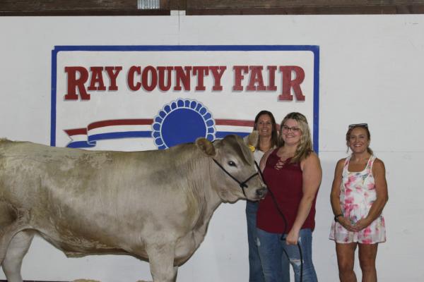 Livestock Auction 2025