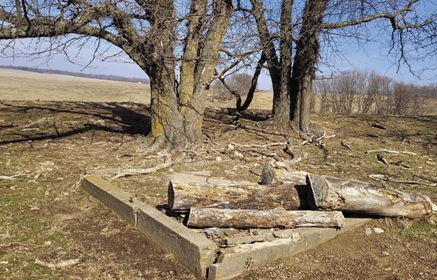 A PART OF THE foundation of the former Henry Giles home is still present on the land. Submitted