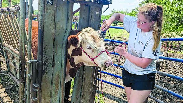 Two RHS FFA students fair-prepped