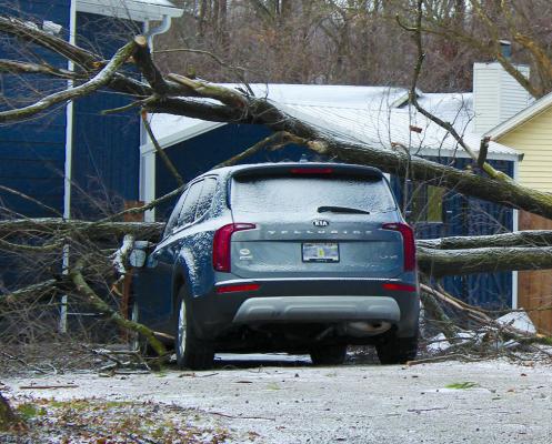 STRONG WINDS and blizzard conditions early Wednesday caused a tree to fall onto a Richmond resident’s home and vehicle. SHARON DONAT | Staff