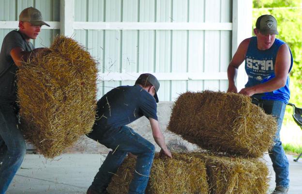 WESTON ALLEN (from left), Gunnar Teegarden, and Dillon Oyler complete a hay bale task. SHARON DONAT | Staff
