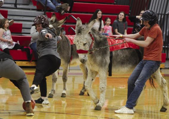 MELISSA LEHMAN (left) uses her foot to steal the ball while Clayton O’Dell tries to rein in his donkey at the Richmond FFA Donkey Basketball Fundraiser. See more photos on page 7. SHARON DONAT | Staff