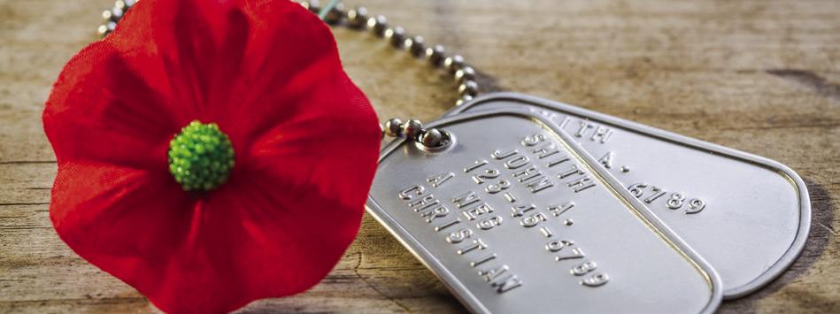 Poppy: A tribute to fallen heroes