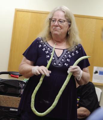 SPECIAL NEEDS SERVICES of Ray County Director Suzan Breen shares a roughly 50-inch bean grown from a mystery seed with Community Connections attendees. SHARON DONAT | Staff
