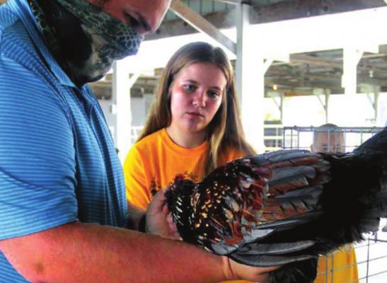 CHICKEN EXPERT Jake Montemayor talks chicken with Mariah Hutton, who wins the reserve overall title at the 2020 Ray County Fair. J.C. VENTIMIGLIA | Staff