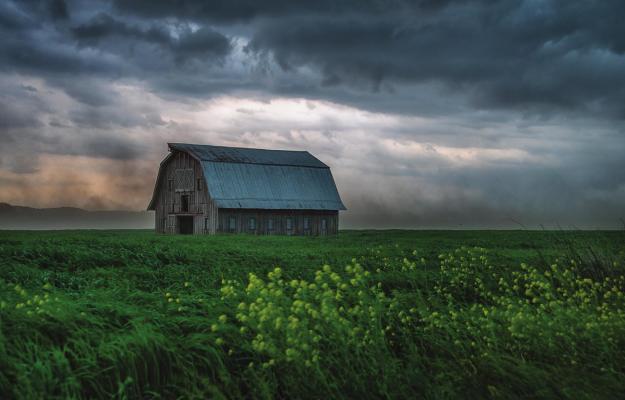 “WEATHERING THE STORM,” by Christine Peper of Jefferson City, receives state’s top photo award. CHRISTINE PEPER | Award Winner