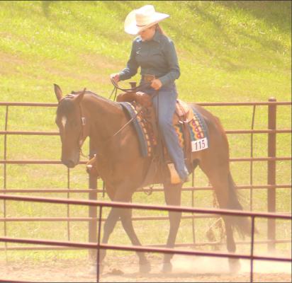 Horse show kicks off fair