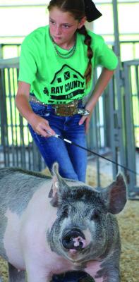 EMBER GILGOUR guides her hog through the pen during the show.