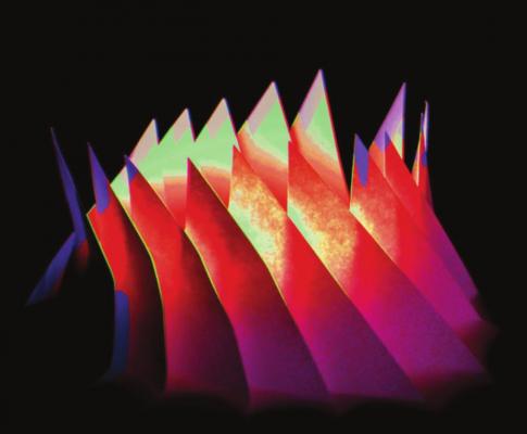 THIS PHOTOGRAPH, “Color Spikes,” is an example of Trey Banning’s work.