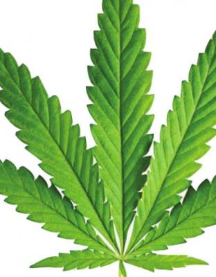 Missouri could become 20th state to approve sale of marijuana for recreational use